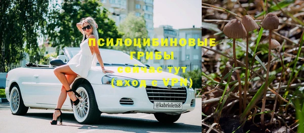 Альфа ПВП Аркадак