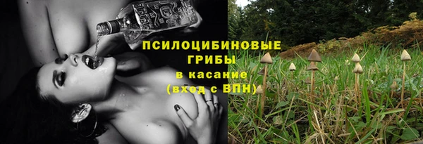 мдпв Армянск